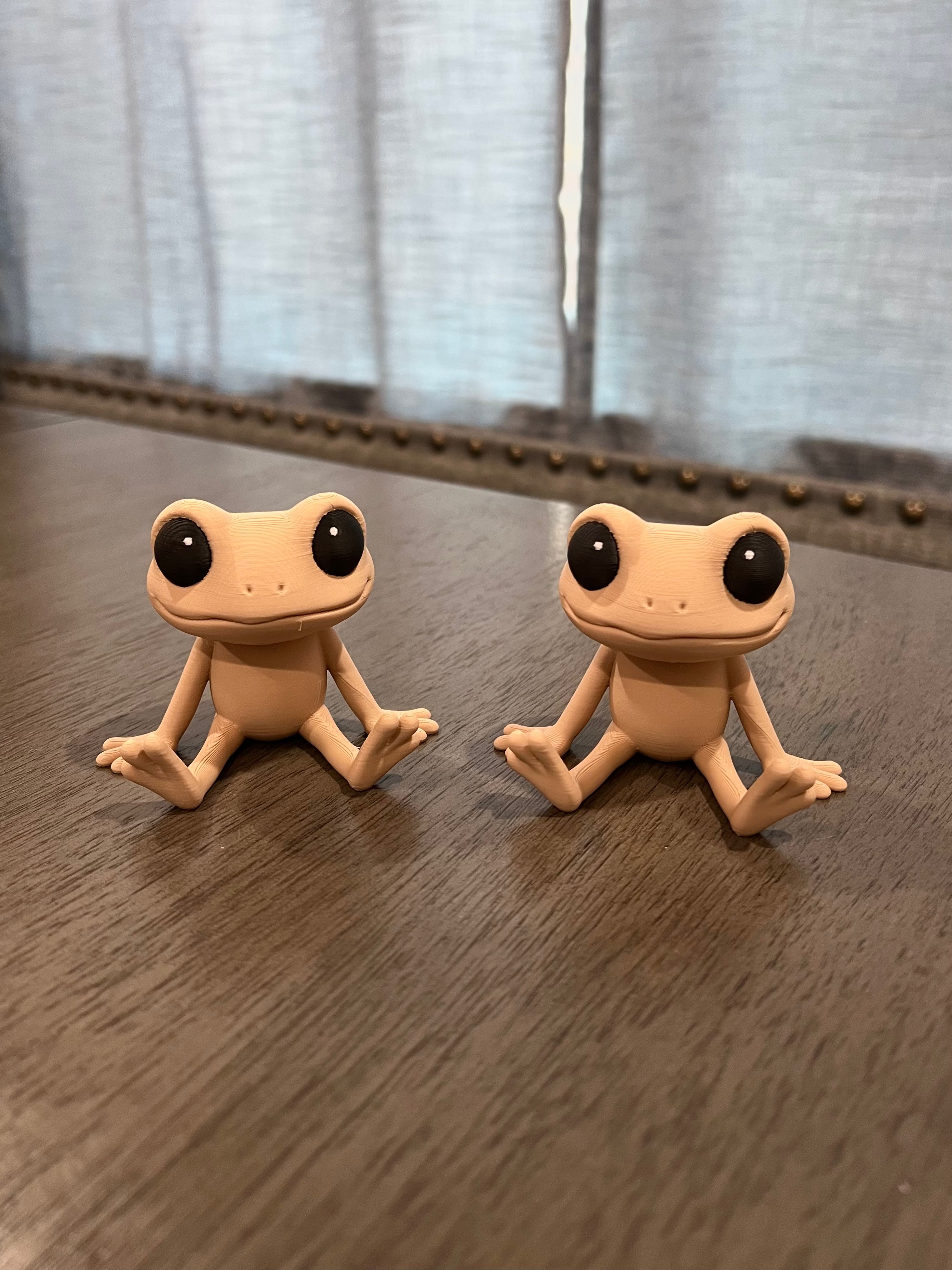 Coqui Buddy