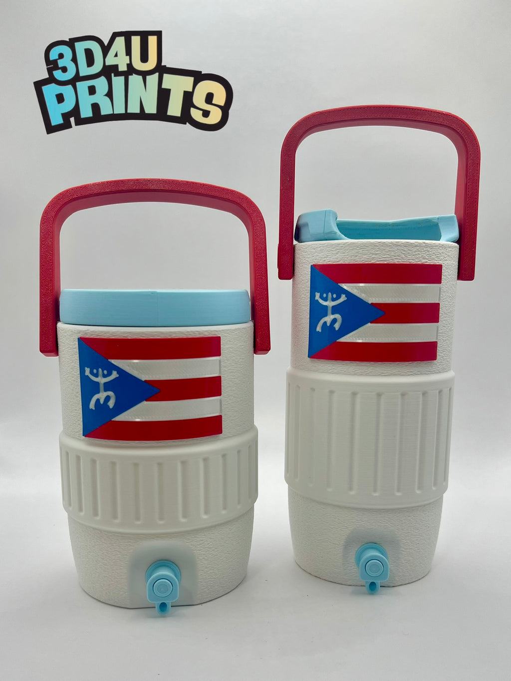 Taino Coqui Can Holder