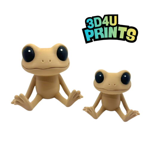 Coqui Buddy