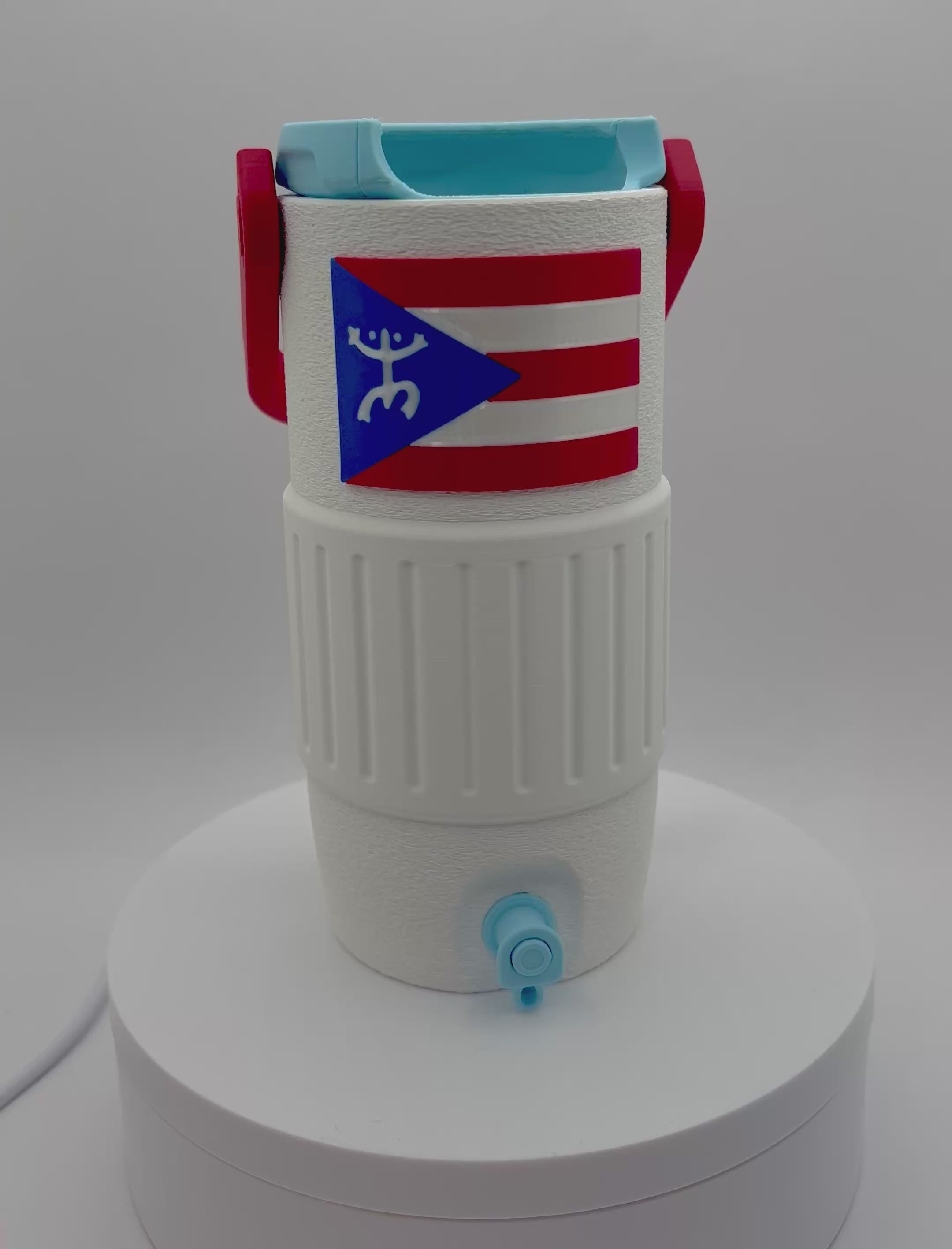 Taino Coqui Can Holder